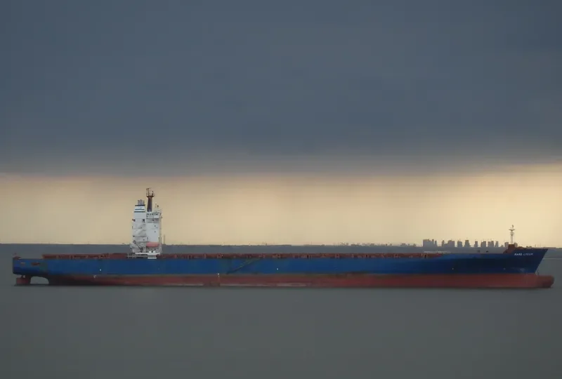 MARIE Container Ship IMO 9193238 photo 2