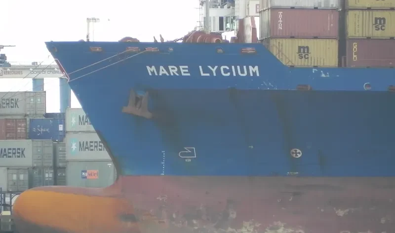 MARIE Container Ship IMO 9193238 photo 8