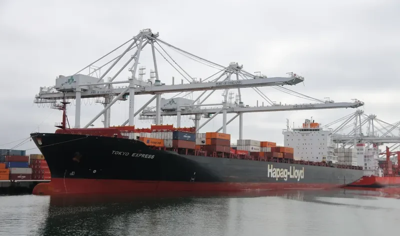 TOKYO EXPRESS Container Ship IMO 9193290 photo 8