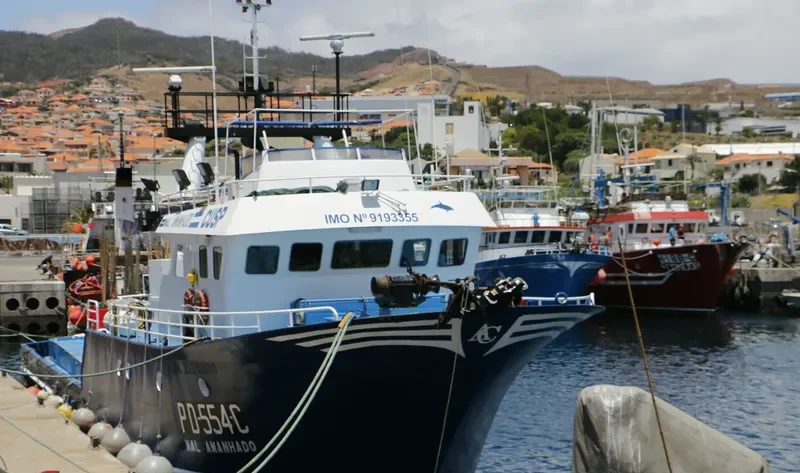 MAL AMANHADO General Cargo IMO 9193355