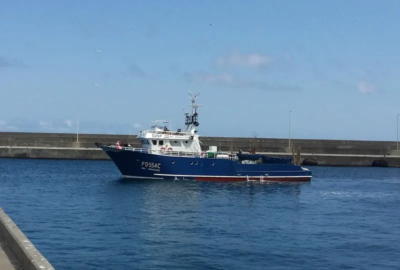 MAL AMANHADO General Cargo IMO 9193355 photo 2