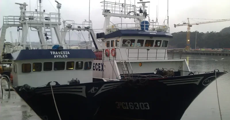 TRAVESIA General Cargo IMO 9193367 photo 5