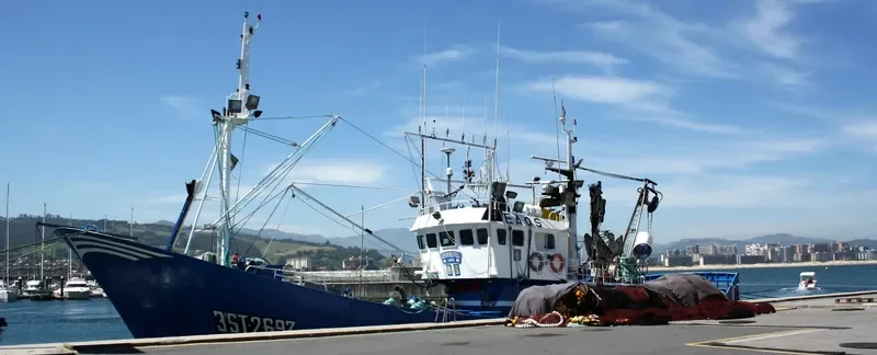 NUEVO PANELO VILLA General Cargo IMO 9193379 photo 3