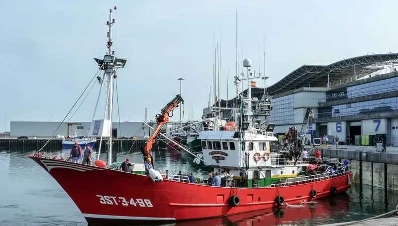 ERMITA PILAR General Cargo IMO 9193381