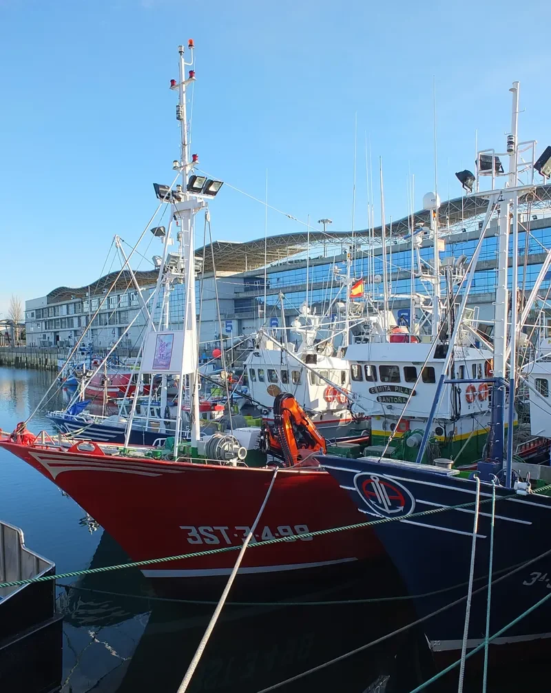 ERMITA PILAR General Cargo IMO 9193381 photo 6