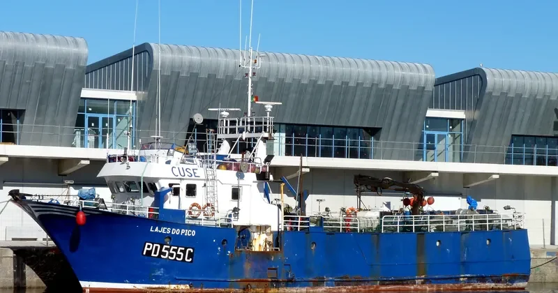 LAJES DO PICO General Cargo IMO 9193410 photo 3
