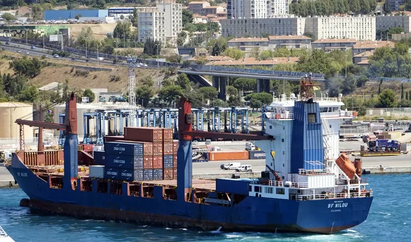 BF NILOU Container Ship IMO 9193513 photo 3