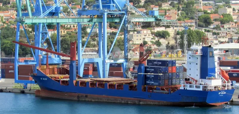 BF NILOU Container Ship IMO 9193513 photo 6