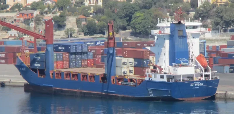 BF NILOU Container Ship IMO 9193513 photo 8
