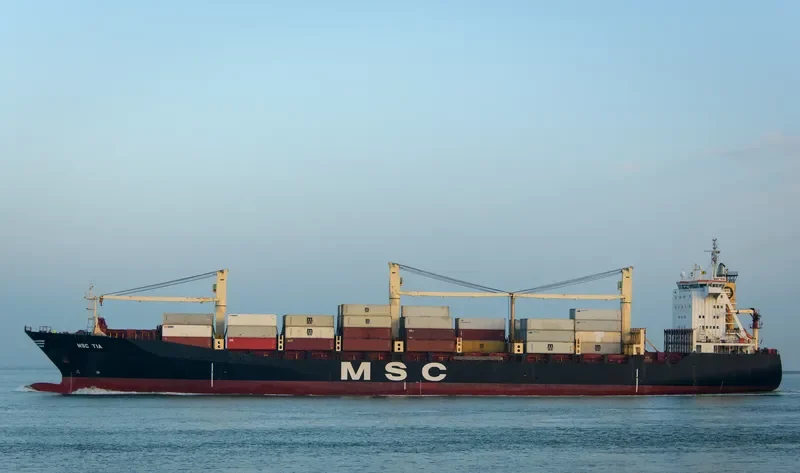 MSC TIA Container Ship IMO 9193680 photo 2