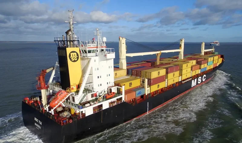 MSC TIA Container Ship IMO 9193680 photo 4