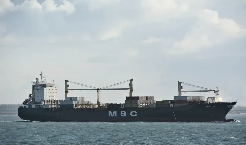 MSC TIA Container Ship IMO 9193680 photo 8