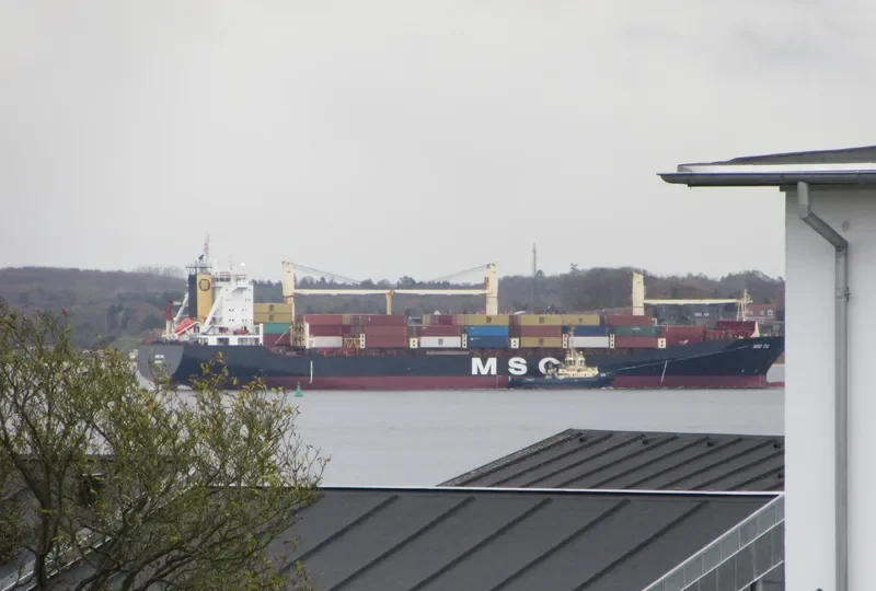 MSC TIA Container Ship IMO 9193680 photo 9