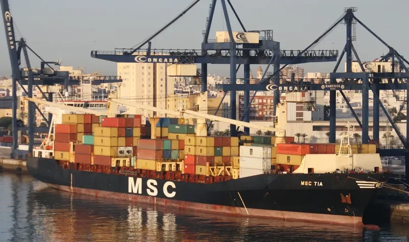 MSC TIA Container Ship IMO 9193680 photo 10