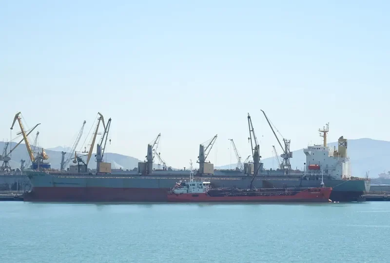 ELENA TOPIC Bulk Carrier IMO 9193692