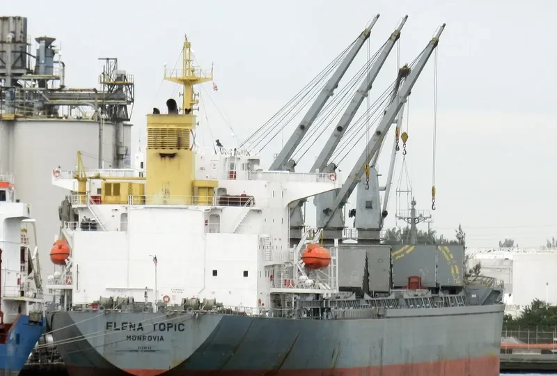 ELENA TOPIC Bulk Carrier IMO 9193692 photo 3