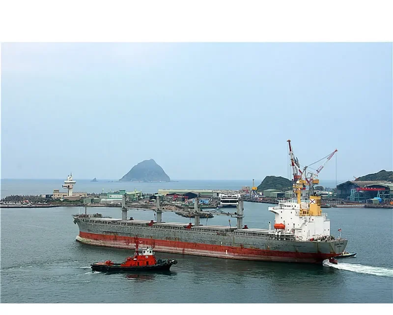 ELENA TOPIC Bulk Carrier IMO 9193692 photo 4
