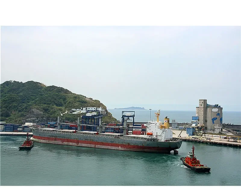 ELENA TOPIC Bulk Carrier IMO 9193692 photo 5