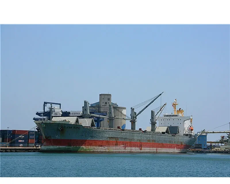 ELENA TOPIC Bulk Carrier IMO 9193692 photo 6