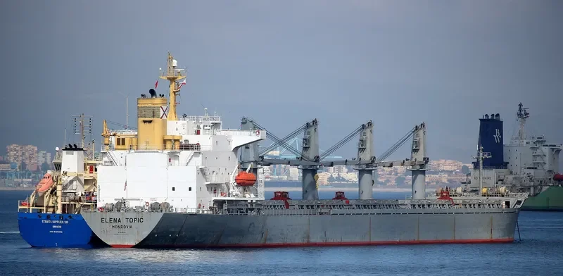 ELENA TOPIC Bulk Carrier IMO 9193692 photo 7