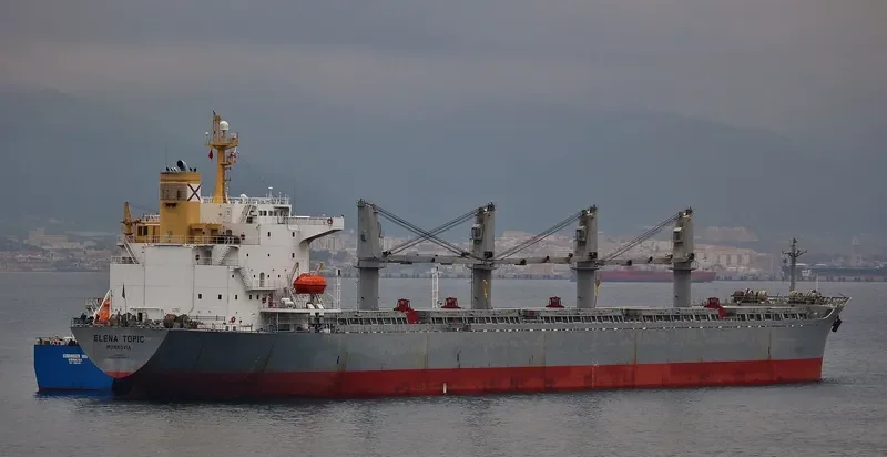 ELENA TOPIC Bulk Carrier IMO 9193692 photo 8