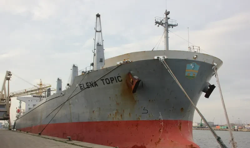 ELENA TOPIC Bulk Carrier IMO 9193692 photo 10