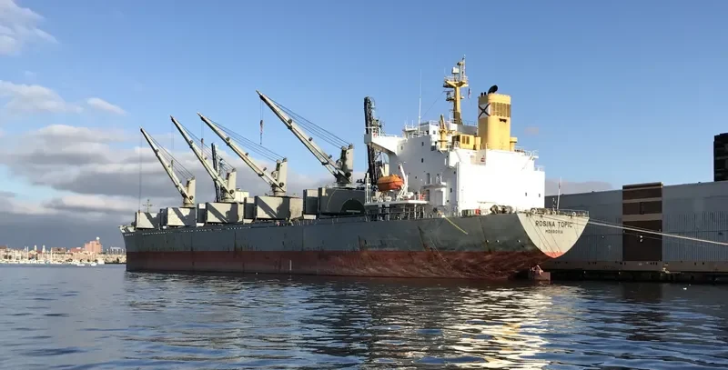 ALBY LIBERTY Bulk Carrier IMO 9193707 photo 2