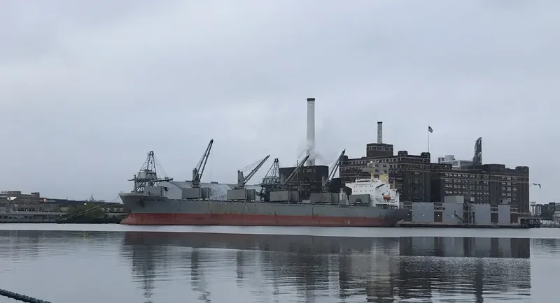 ALBY LIBERTY Bulk Carrier IMO 9193707 photo 3