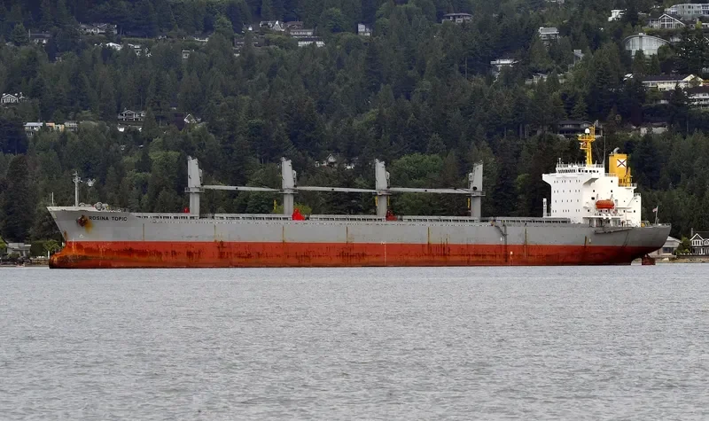 ALBY LIBERTY Bulk Carrier IMO 9193707 photo 5
