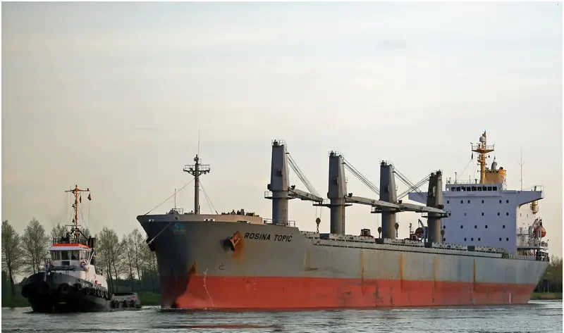 ALBY LIBERTY Bulk Carrier IMO 9193707 photo 6