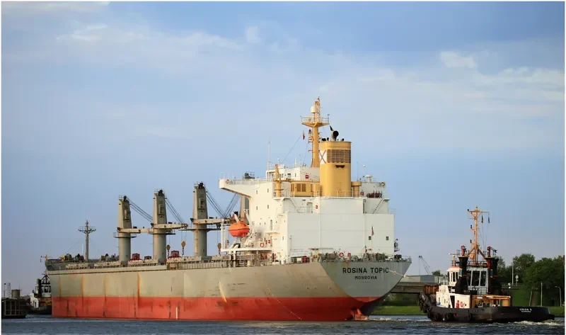 ALBY LIBERTY Bulk Carrier IMO 9193707 photo 7