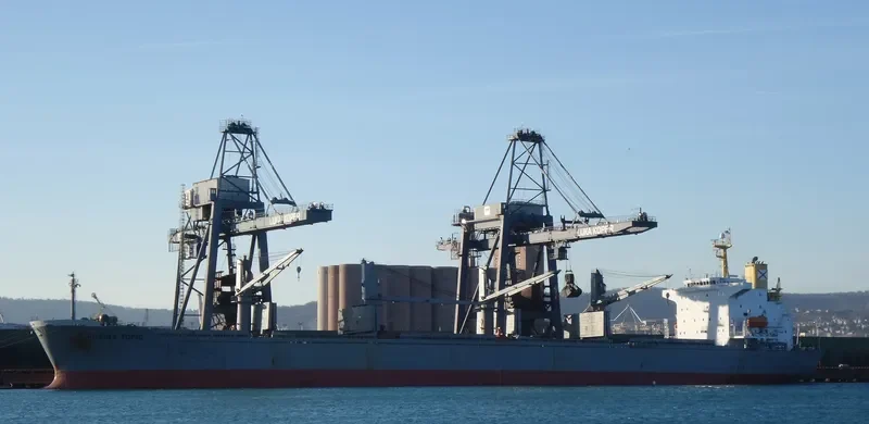 ALBY LIBERTY Bulk Carrier IMO 9193707 photo 8