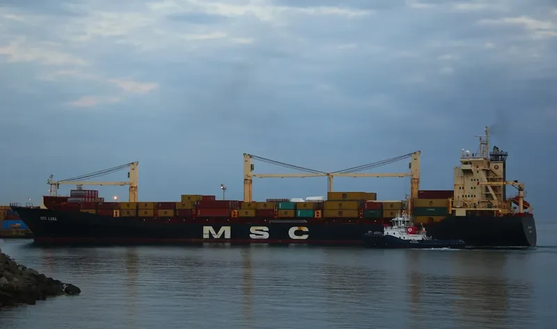 MSC LANA Container Ship IMO 9193719 photo 2