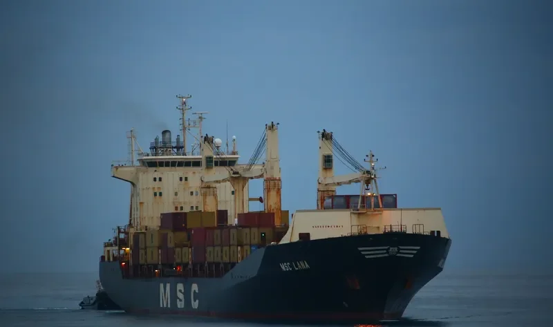 MSC LANA Container Ship IMO 9193719 photo 3