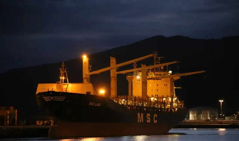 MSC LANA Container Ship IMO 9193719 photo 4