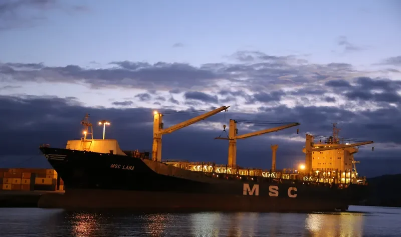 MSC LANA Container Ship IMO 9193719 photo 5