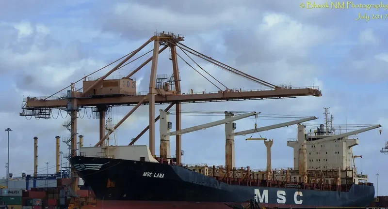 MSC LANA Container Ship IMO 9193719 photo 6