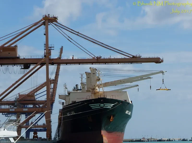 MSC LANA Container Ship IMO 9193719 photo 7