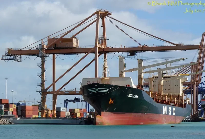 MSC LANA Container Ship IMO 9193719 photo 8