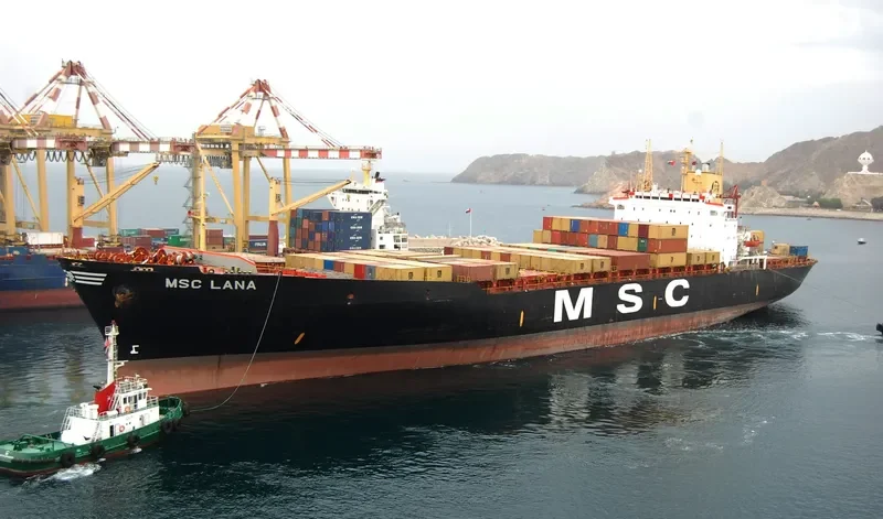 MSC LANA Container Ship IMO 9193719 photo 9