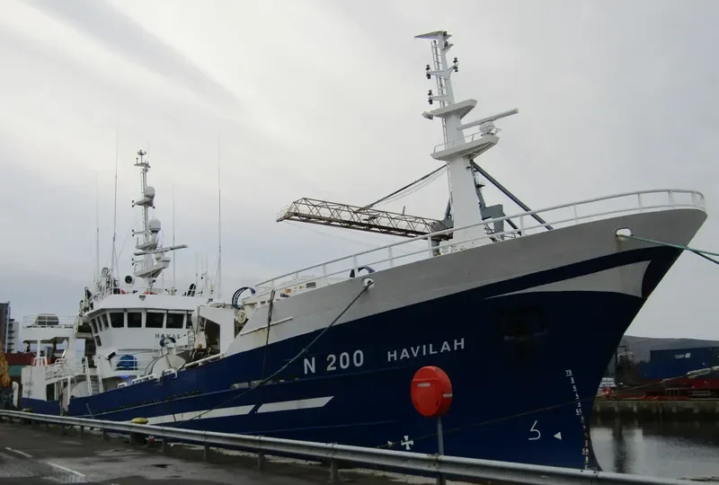 HAVILAH General Cargo IMO 9193771