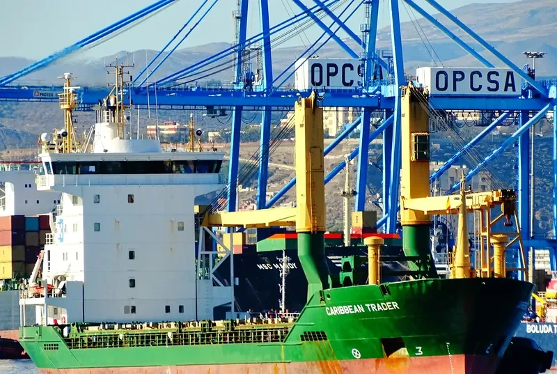 ACE General Cargo IMO 9193800 photo 10