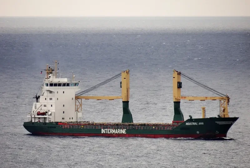 INDUSTRIAL AMA General Cargo IMO 9193812