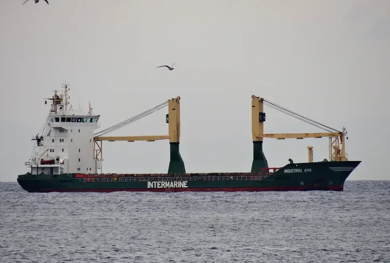 INDUSTRIAL AMA General Cargo IMO 9193812 photo 2