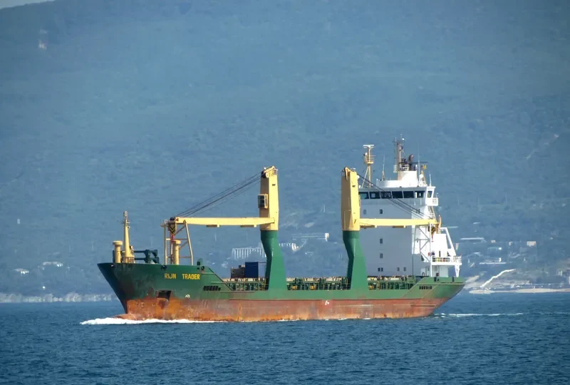 SJW MOUNTAIN General Cargo IMO 9193824 photo 10