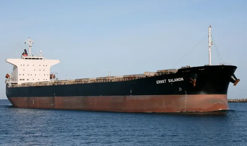 TAI HANG 9 Bulk Carrier IMO 9193850