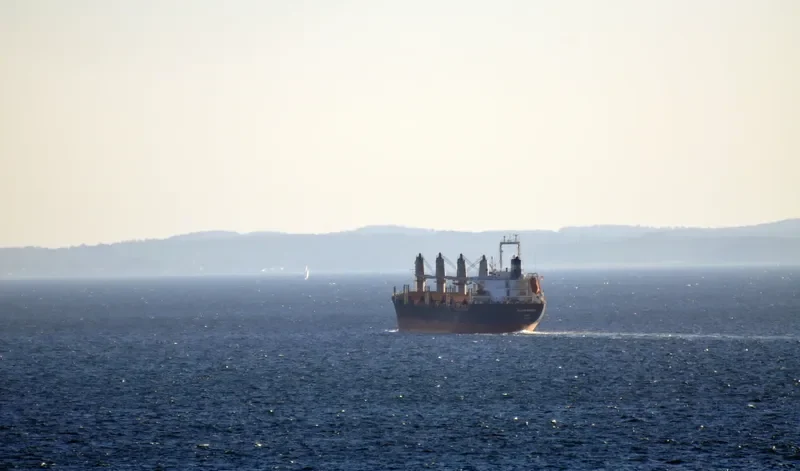INLACO BRIGHT Bulk Carrier IMO 9193862 photo 4