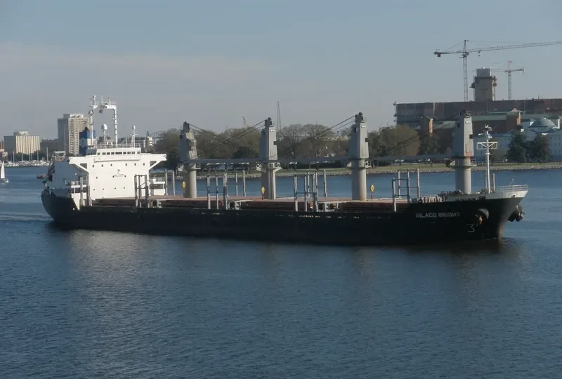 INLACO BRIGHT Bulk Carrier IMO 9193862 photo 5