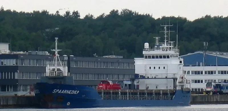 DARINA General Cargo IMO 9194062