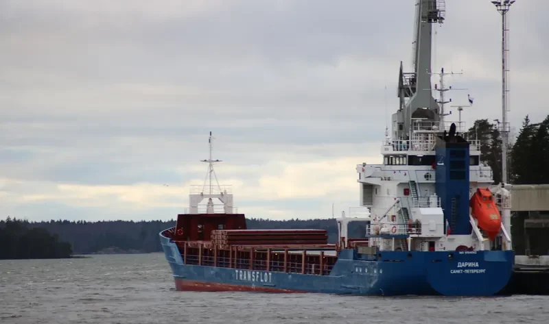 DARINA General Cargo IMO 9194062 photo 2